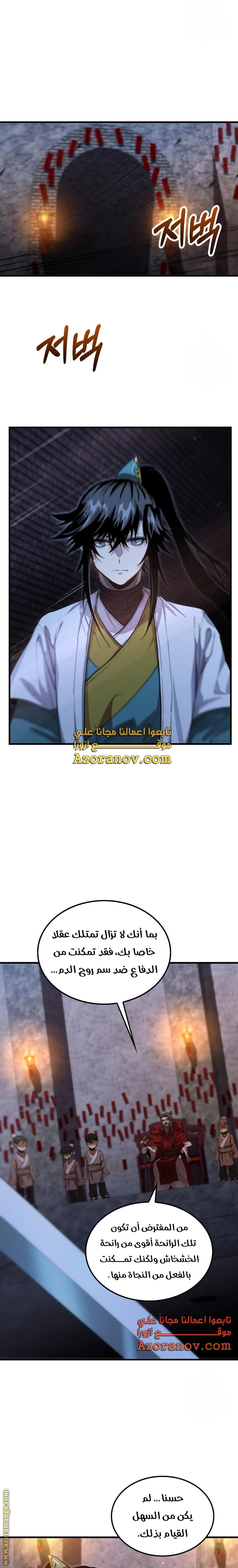الصفحة 17