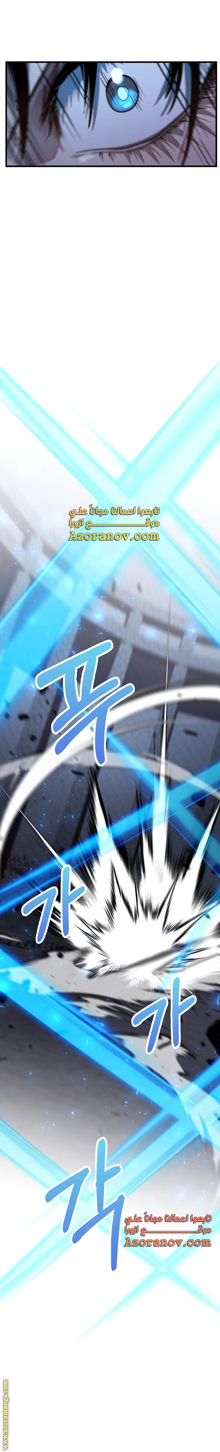 الصفحة 17
