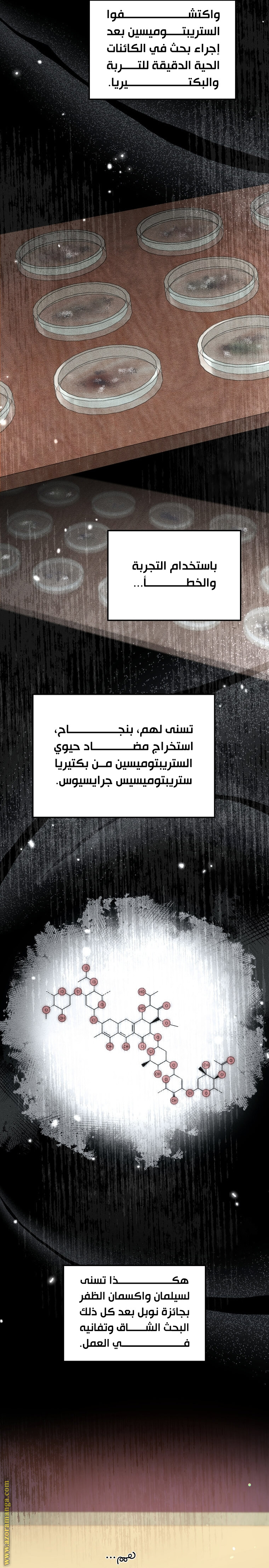 الصفحة 2