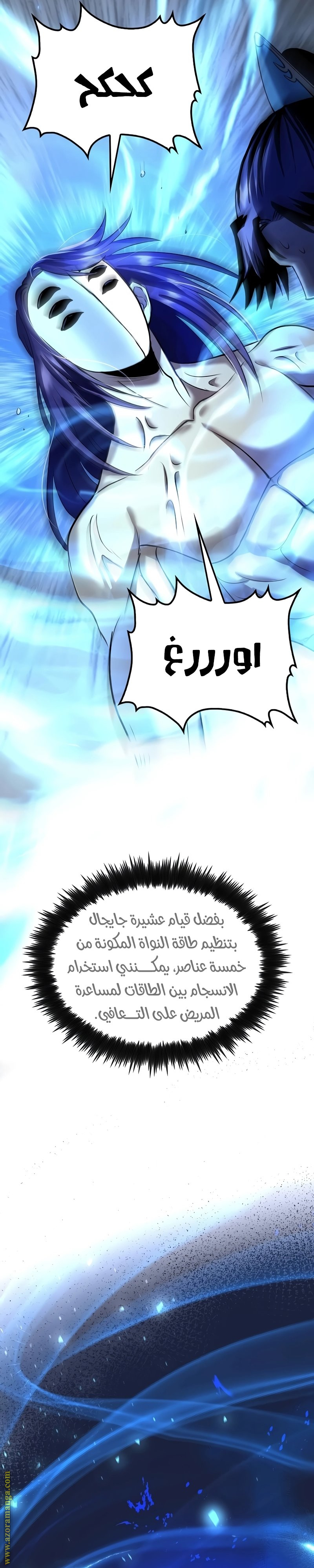 الصفحة 13