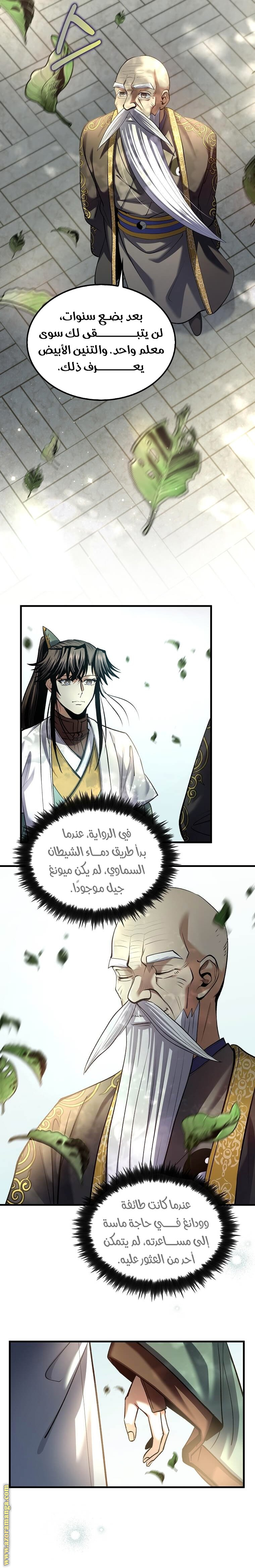 الصفحة 17