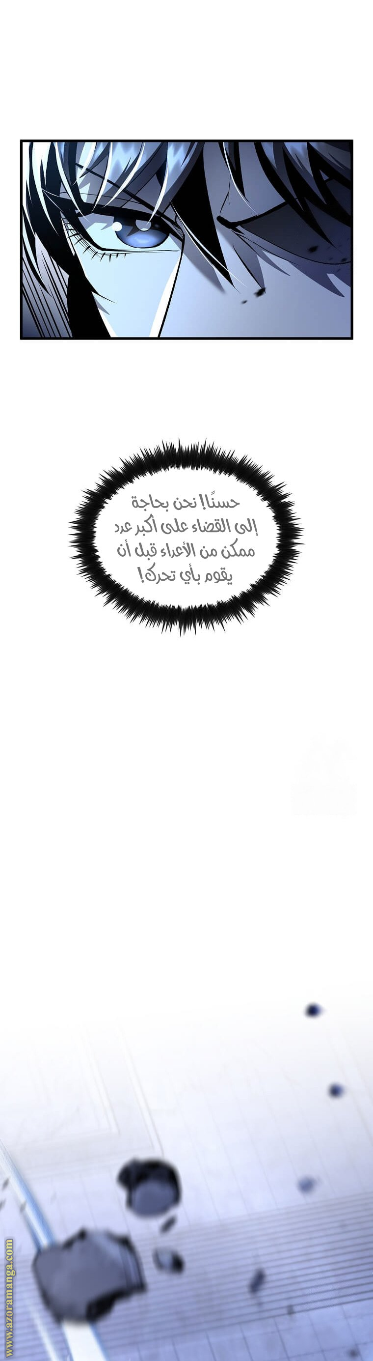 الصفحة 17