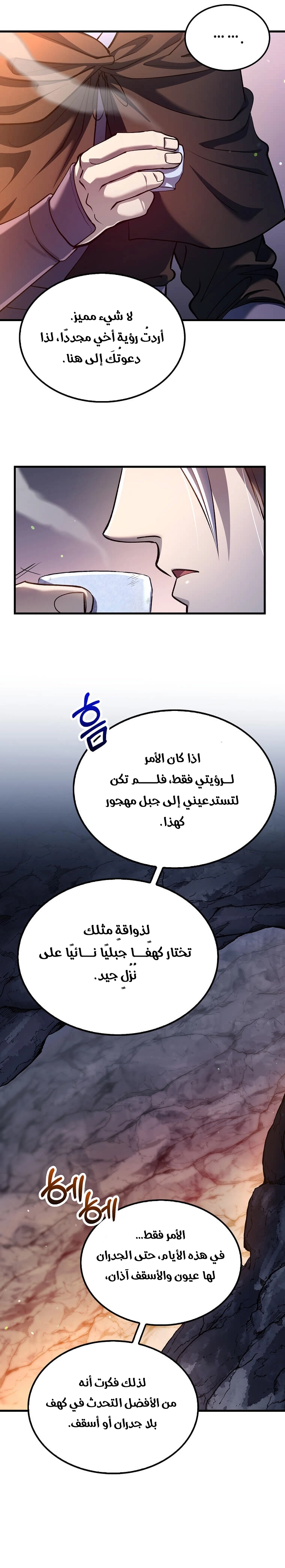 الصفحة 17