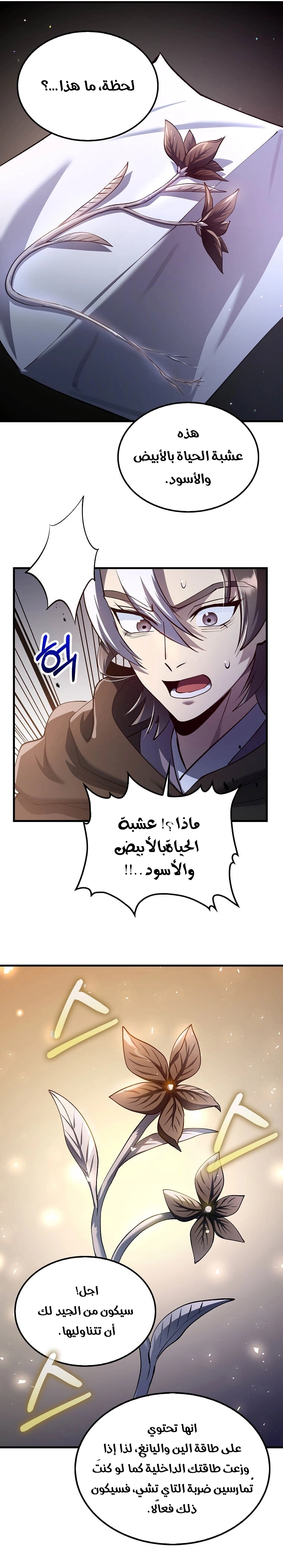الصفحة 12