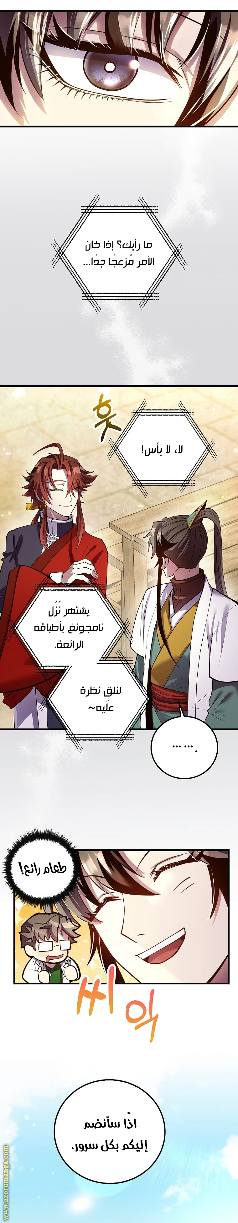 الصفحة 17