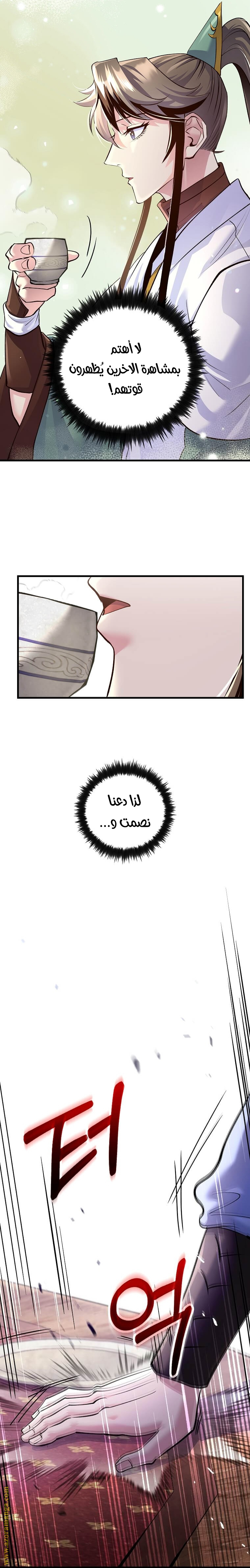 الصفحة 17