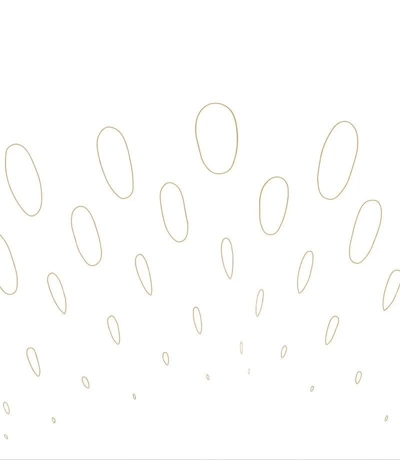 الصفحة 29