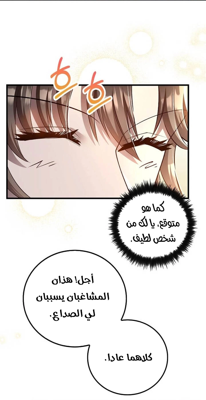 الصفحة 45