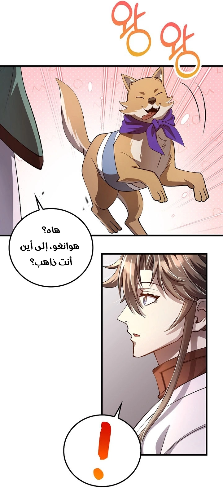 الصفحة 19