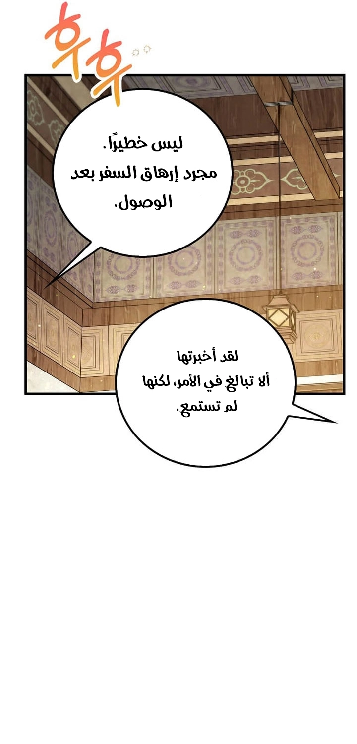 الصفحة 41