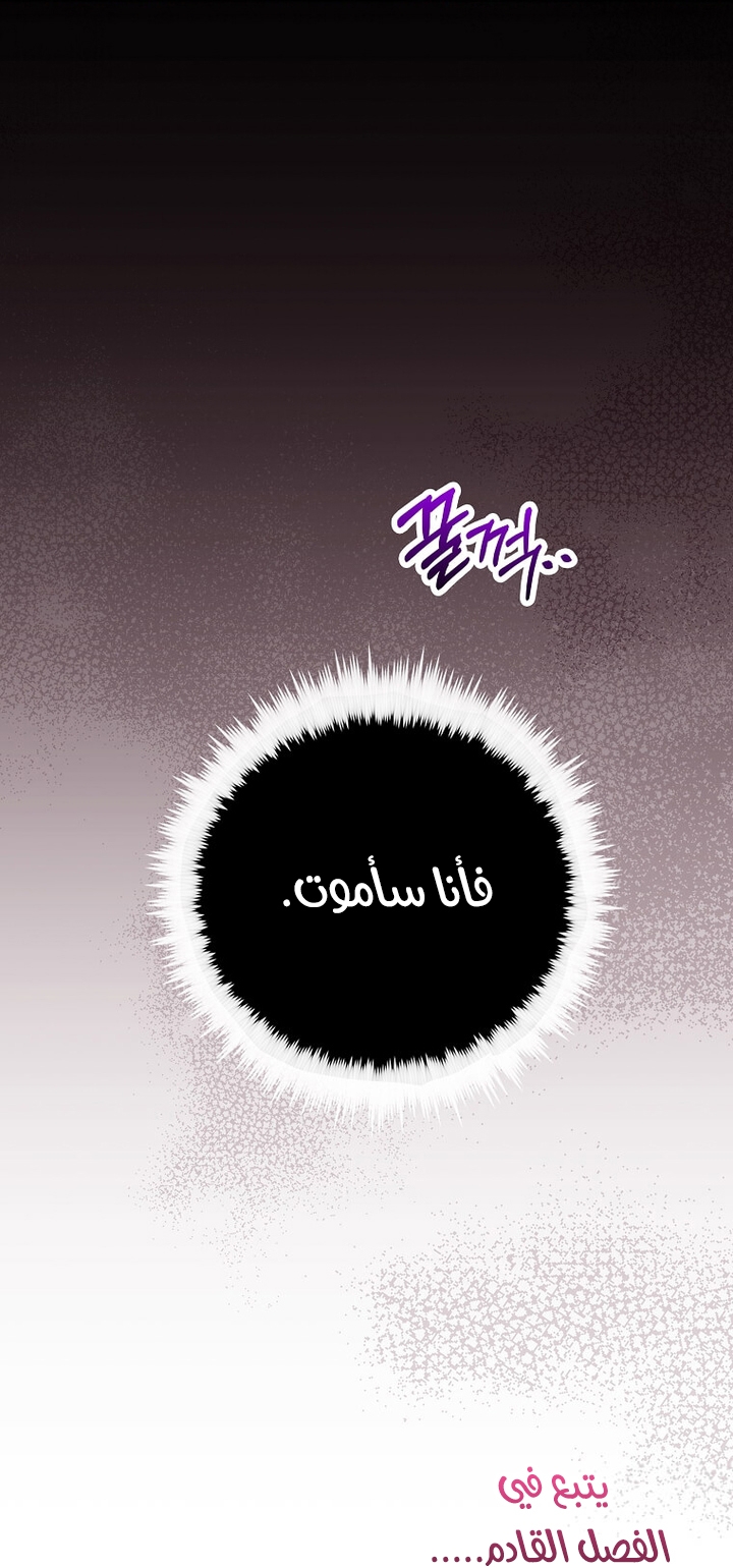الصفحة 63