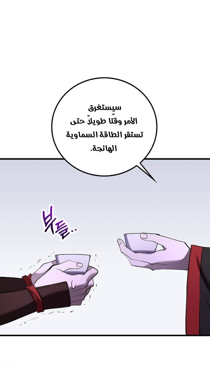 الصفحة 45