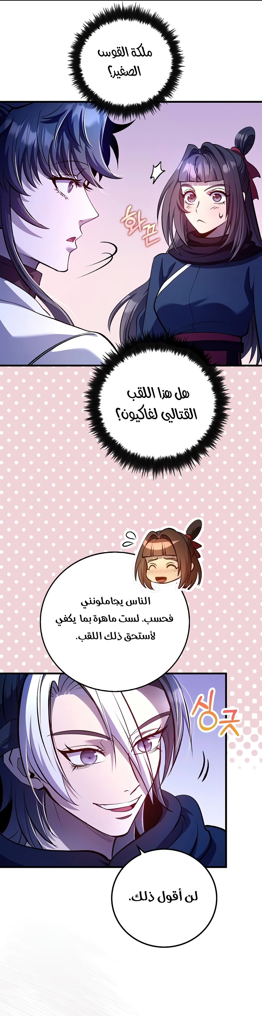 الصفحة 26