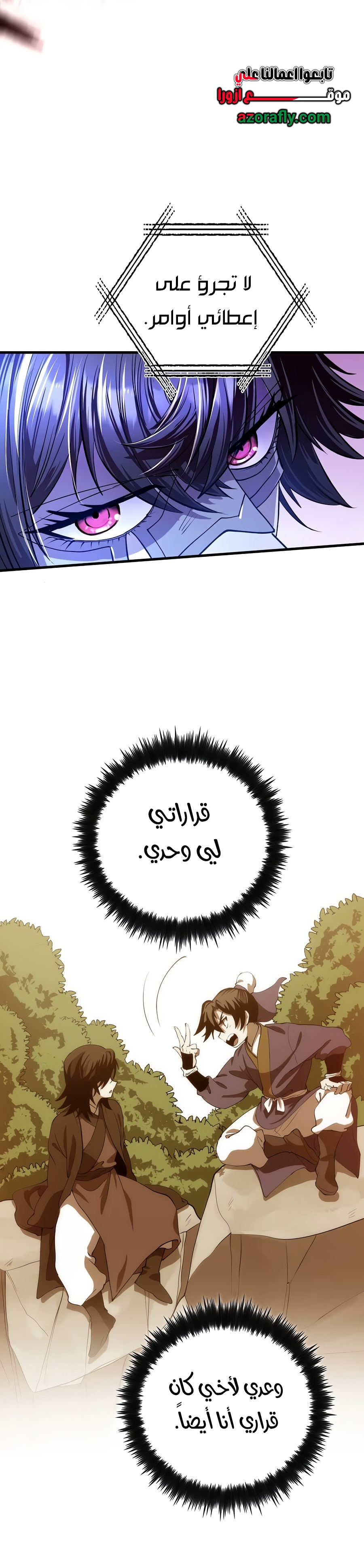 الصفحة 17