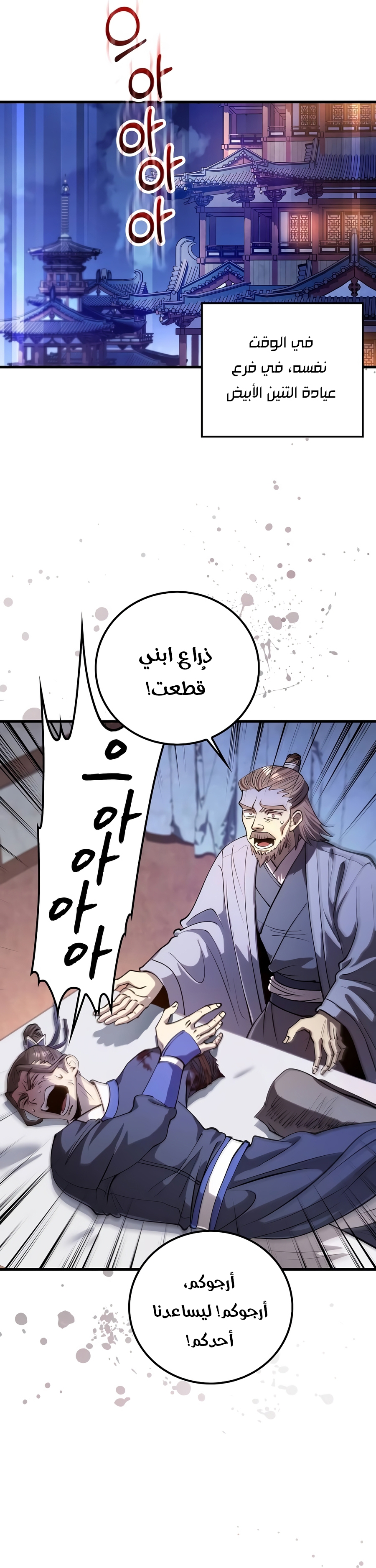 الصفحة 29