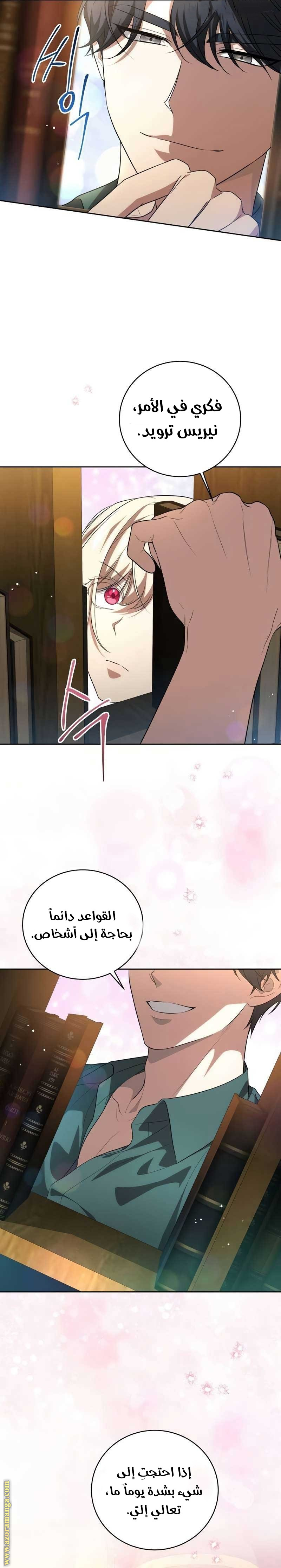 الصفحة 13