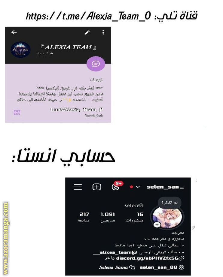 الصفحة 13