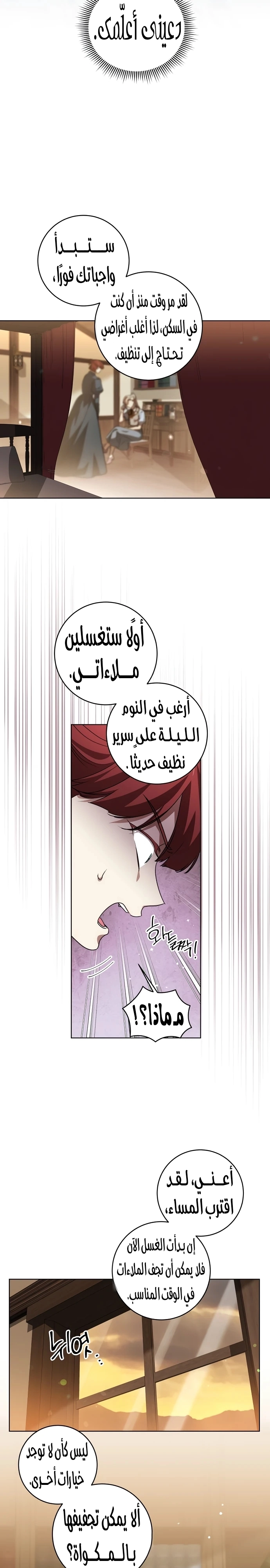 الصفحة 17