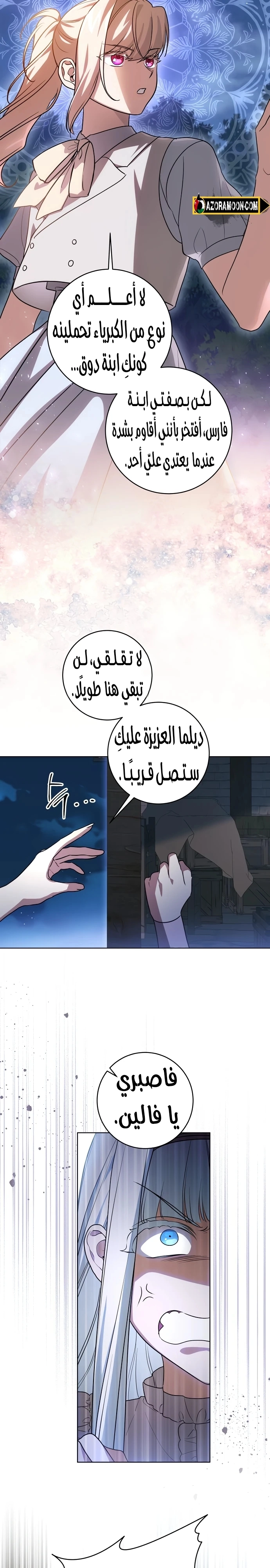 الصفحة 17