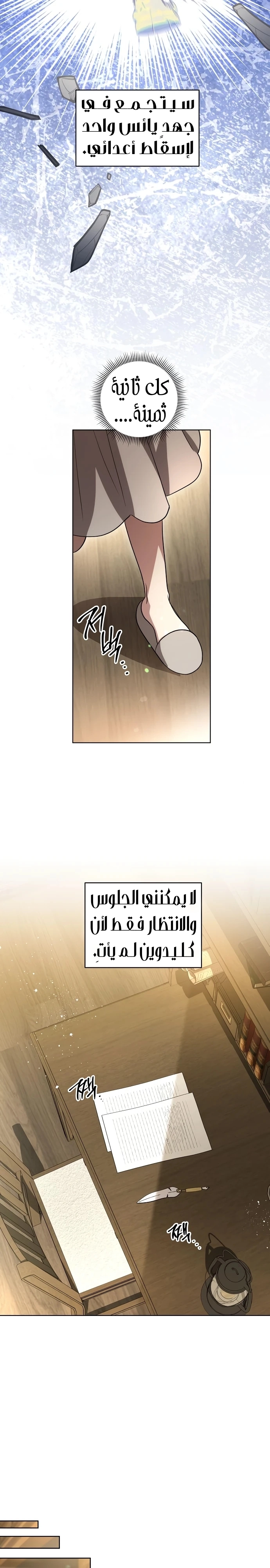 الصفحة 13