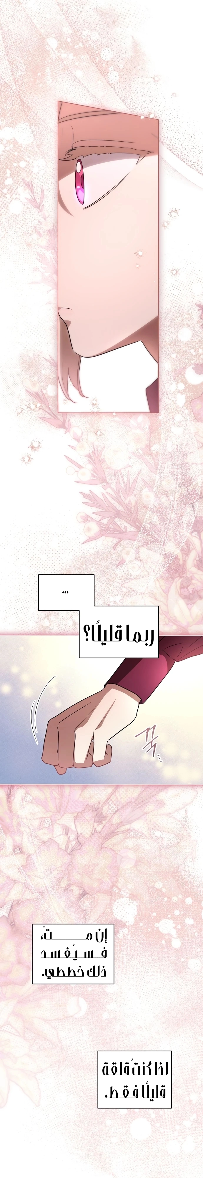 الصفحة 20