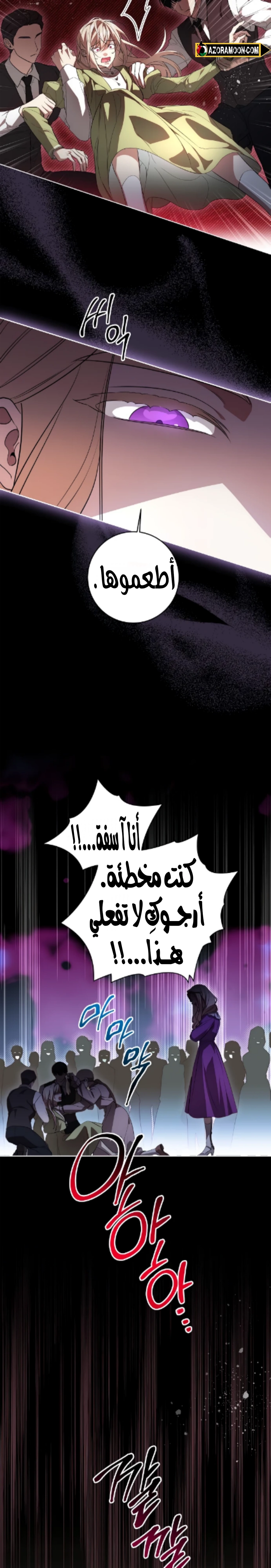 الصفحة 17