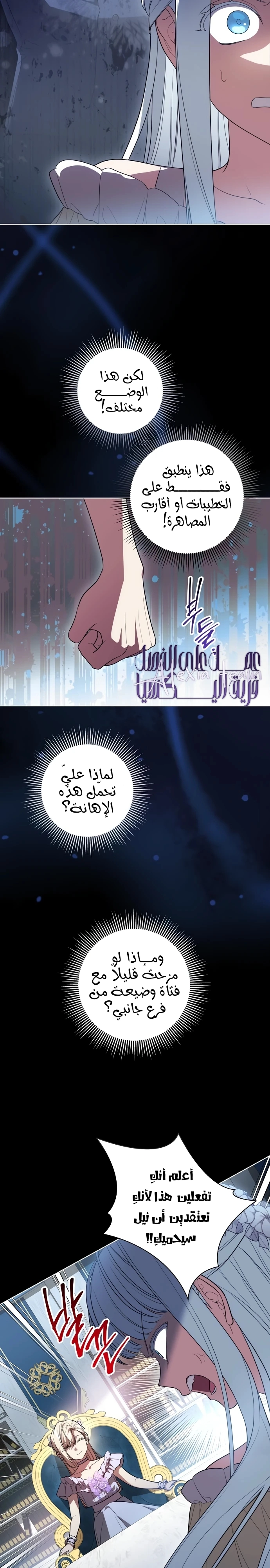 الصفحة 13