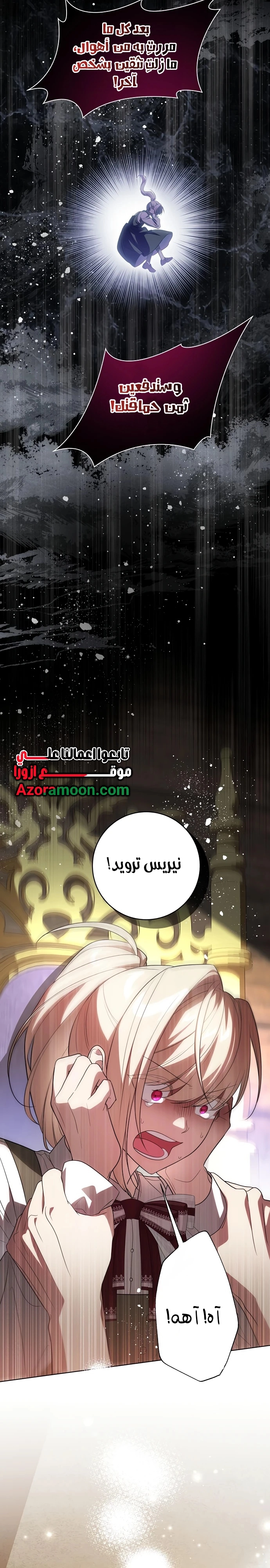 الصفحة 13