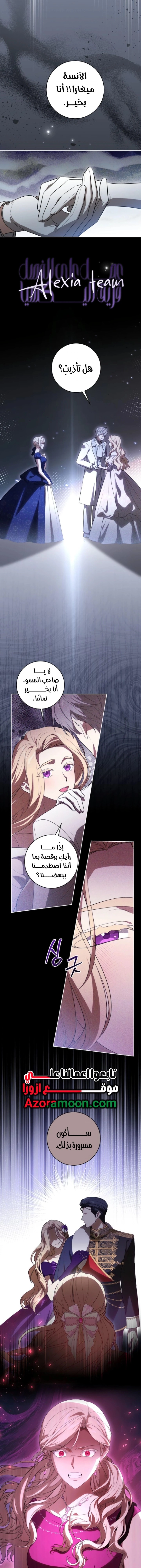 الصفحة 17