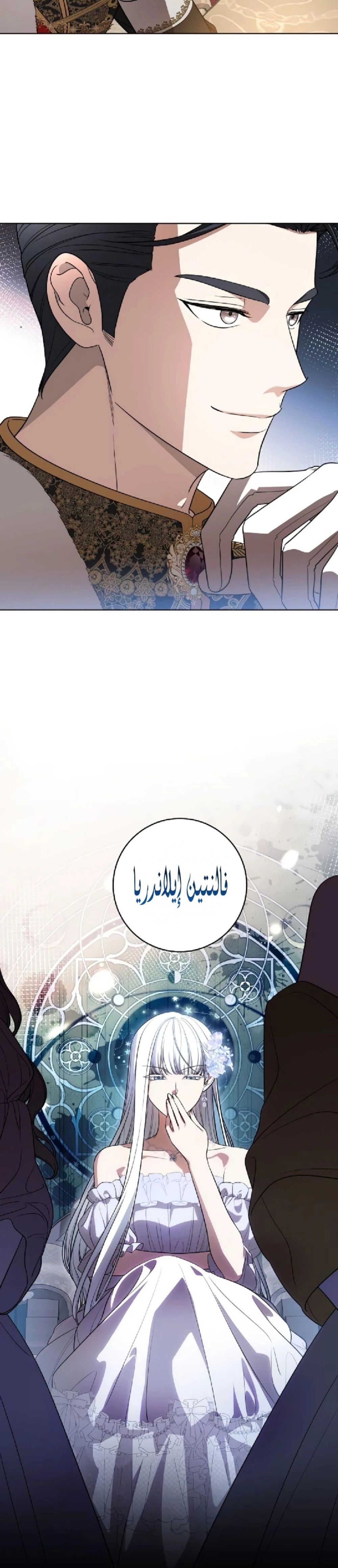 الصفحة 13