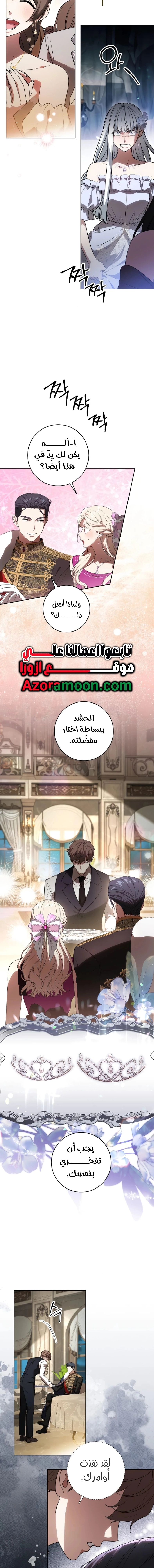 الصفحة 17