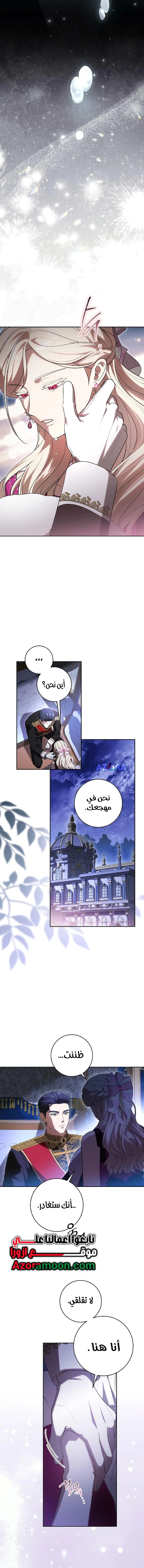 الصفحة 13