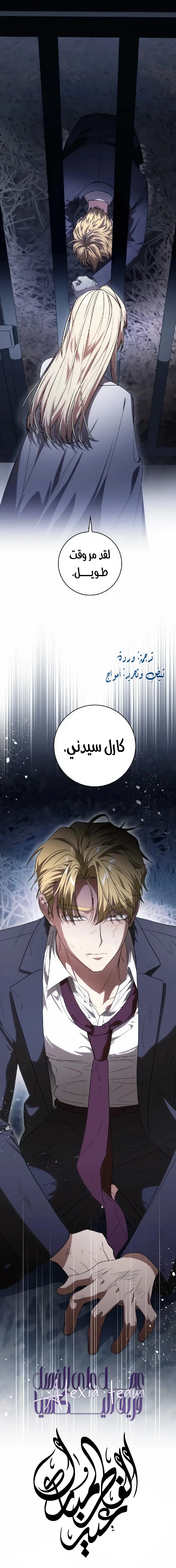 الصفحة 17
