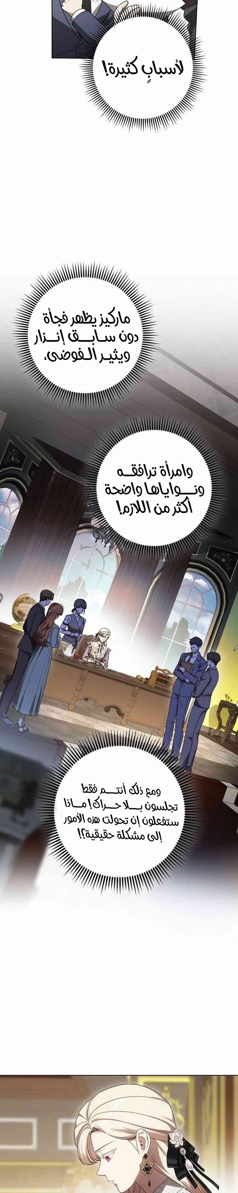الصفحة 13