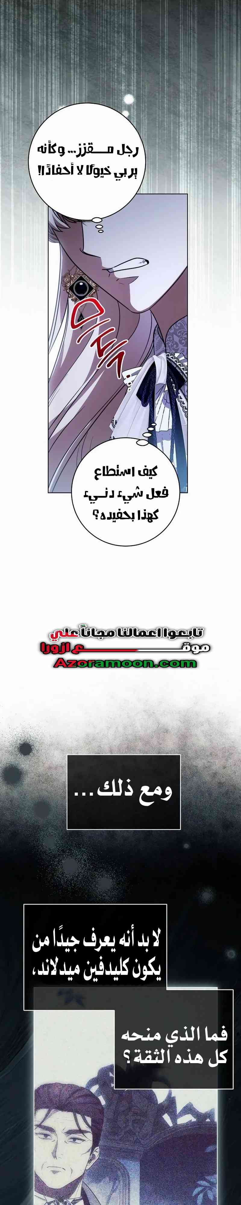 الصفحة 17