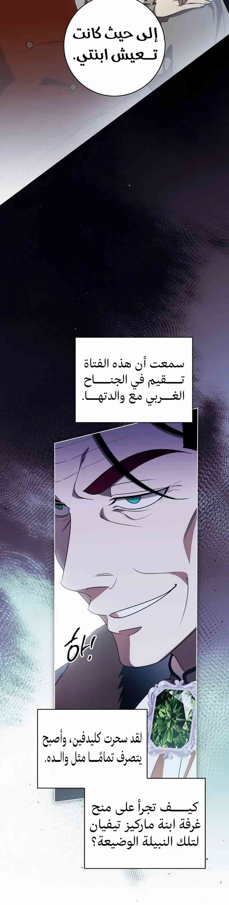 الصفحة 24