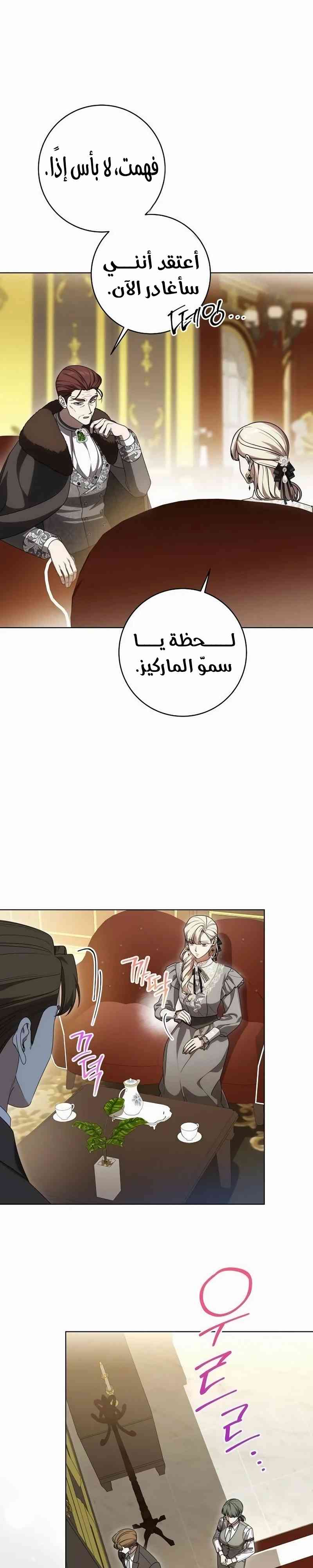 الصفحة 27