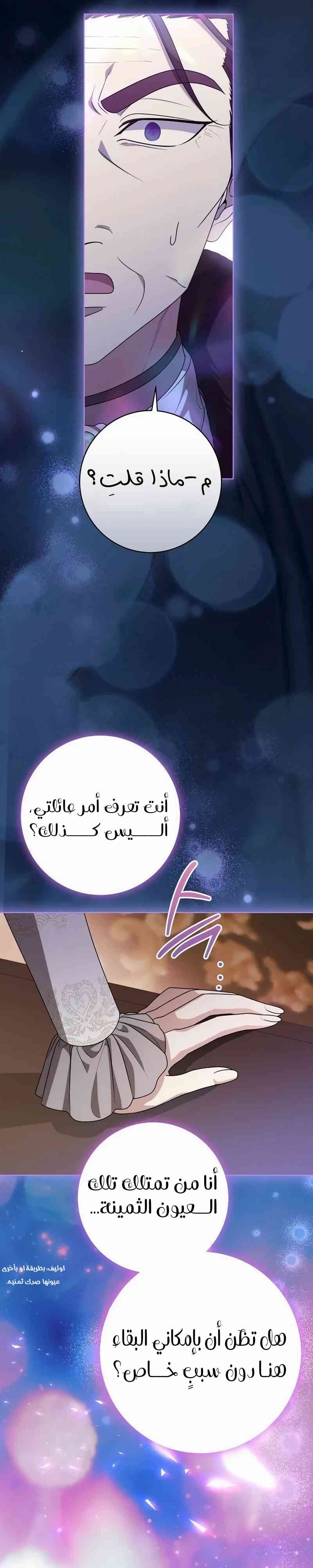 الصفحة 31