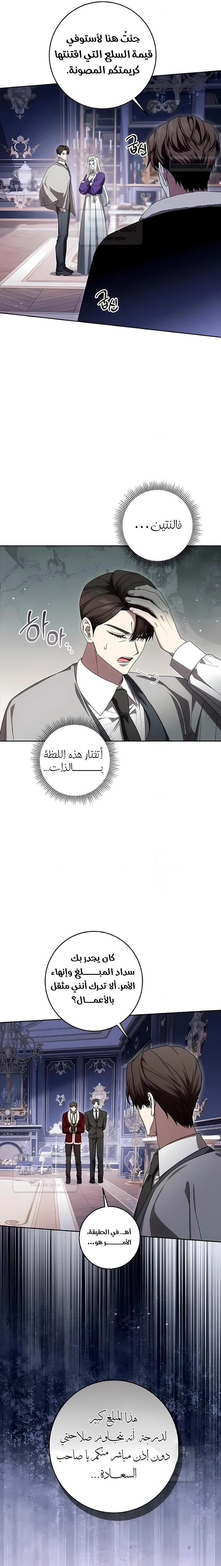 الصفحة 17