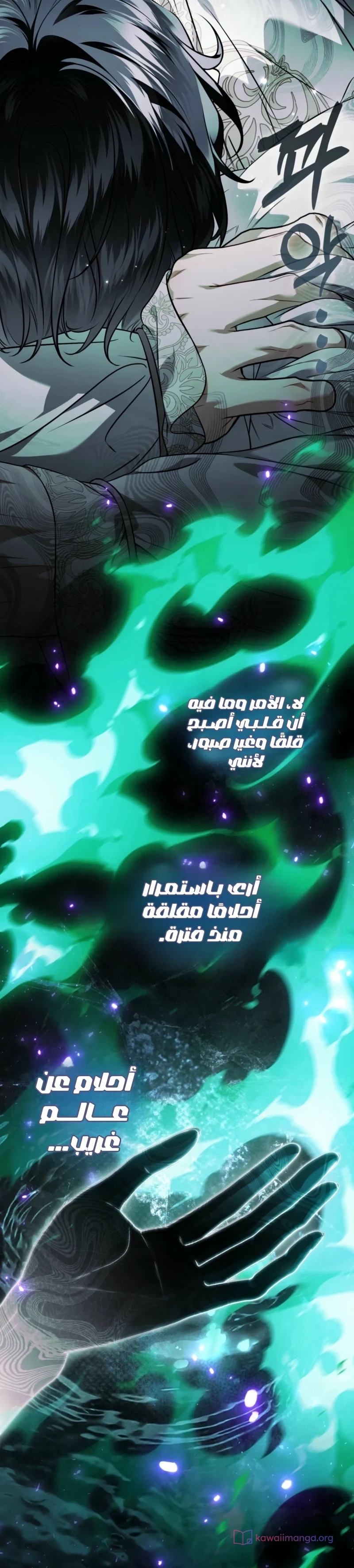 الصفحة 46