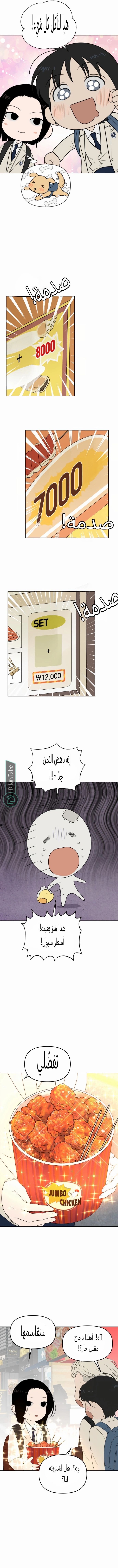 الصفحة 7