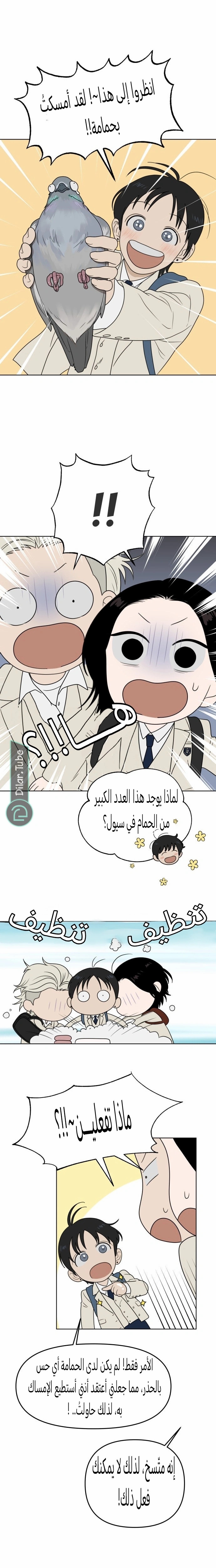 الصفحة 18