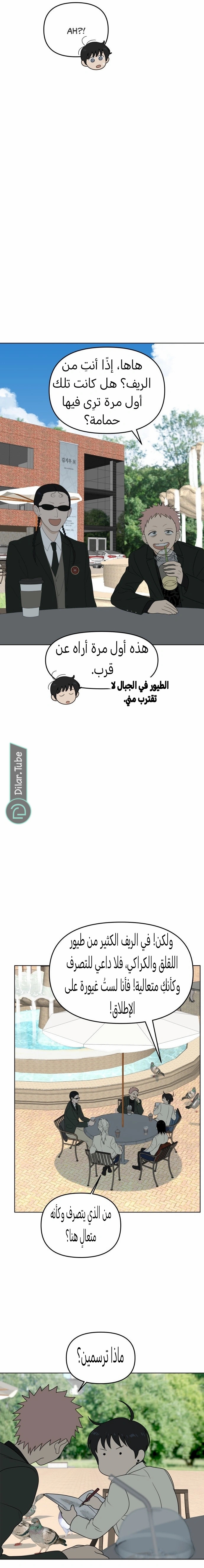 الصفحة 19