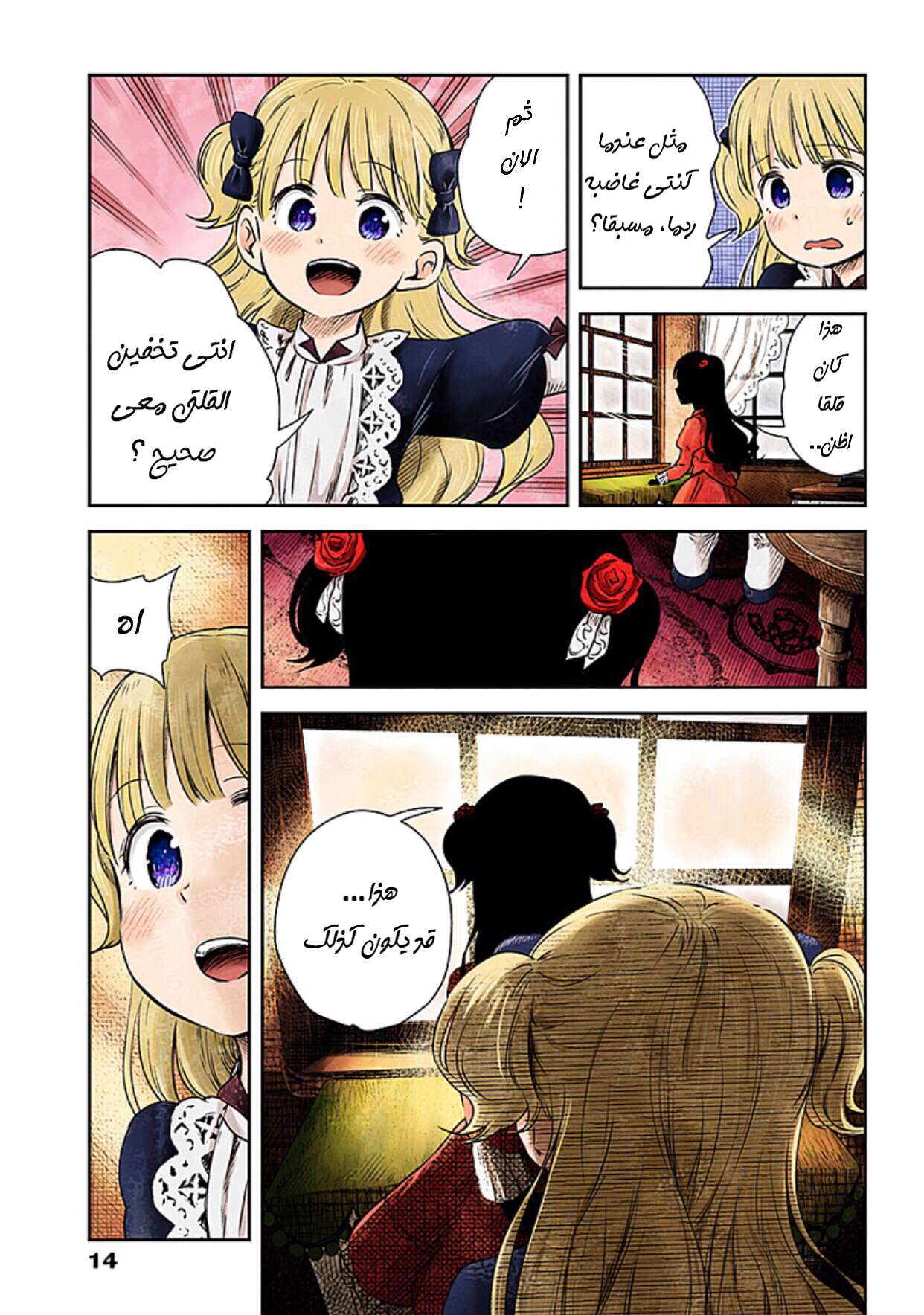 الصفحة 13