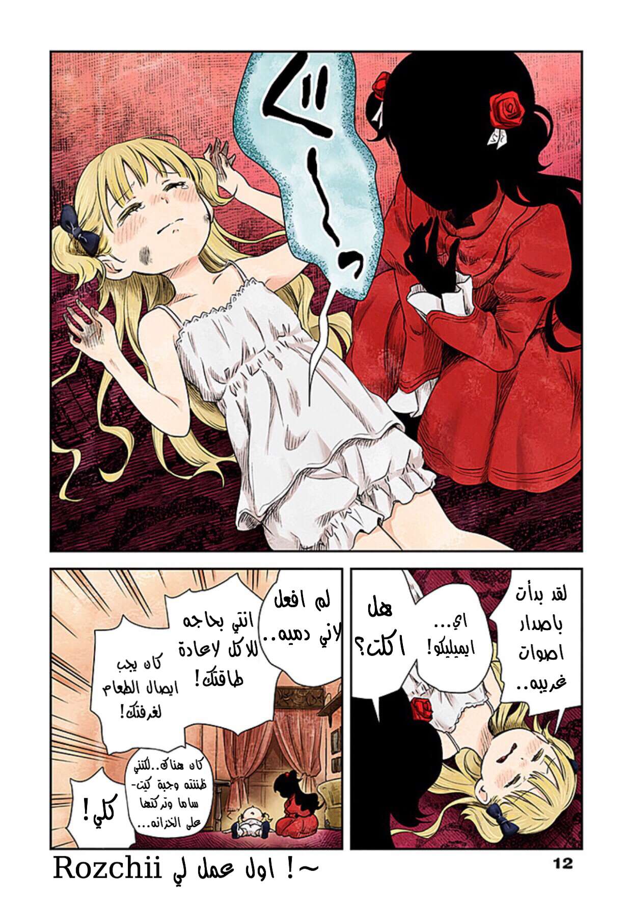 الصفحة 12