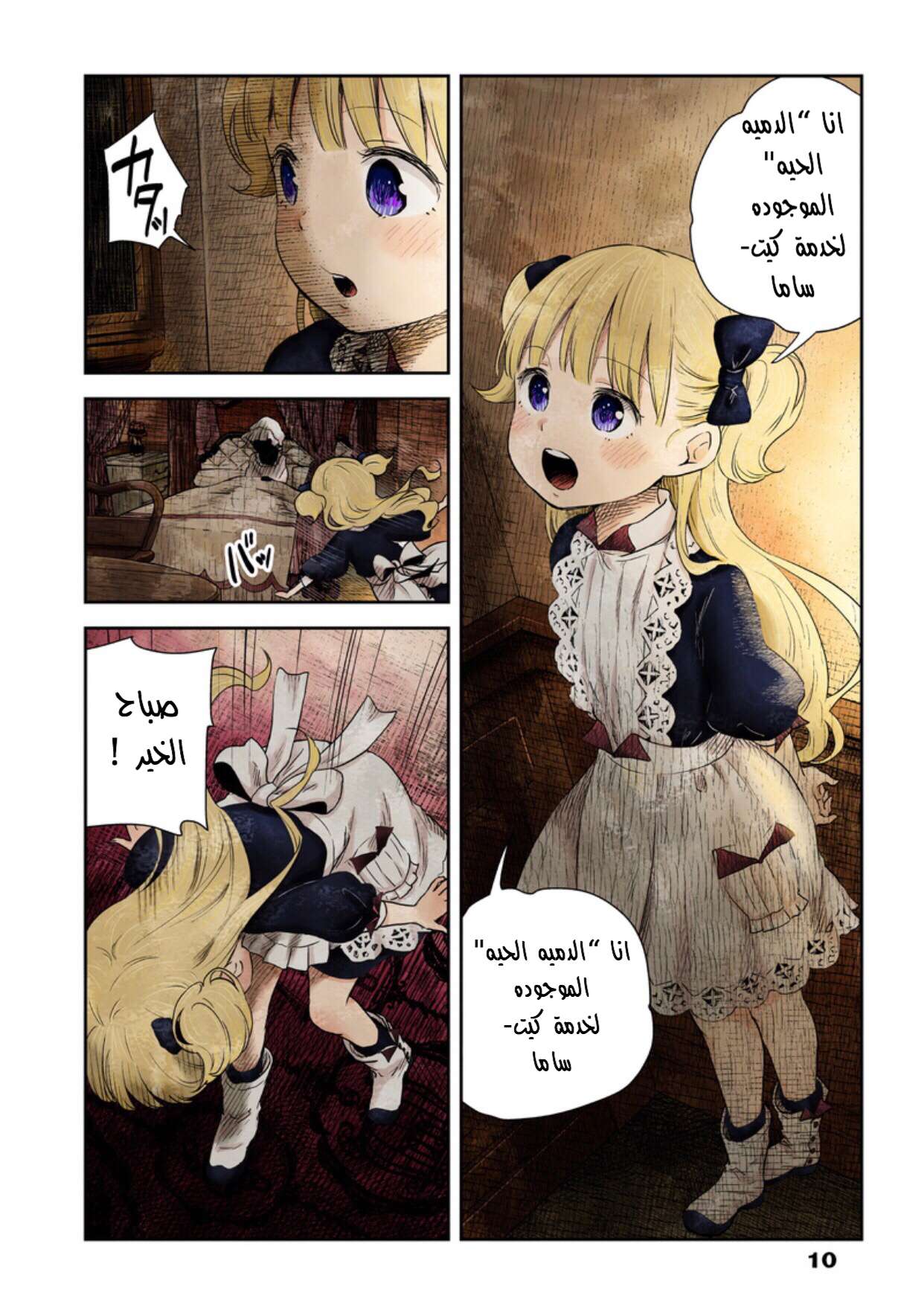 الصفحة 11