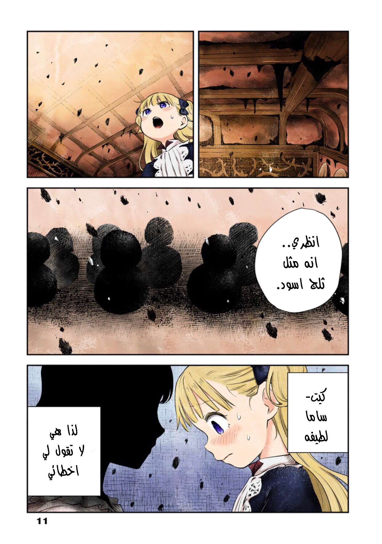الصفحة 11