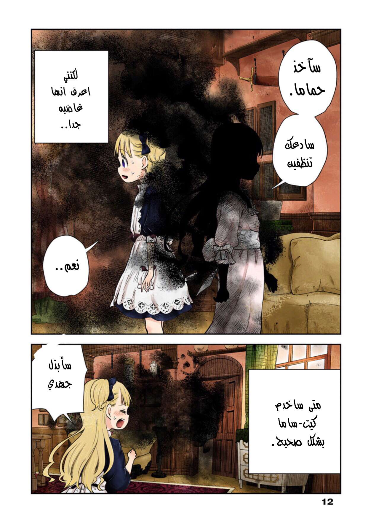 الصفحة 12