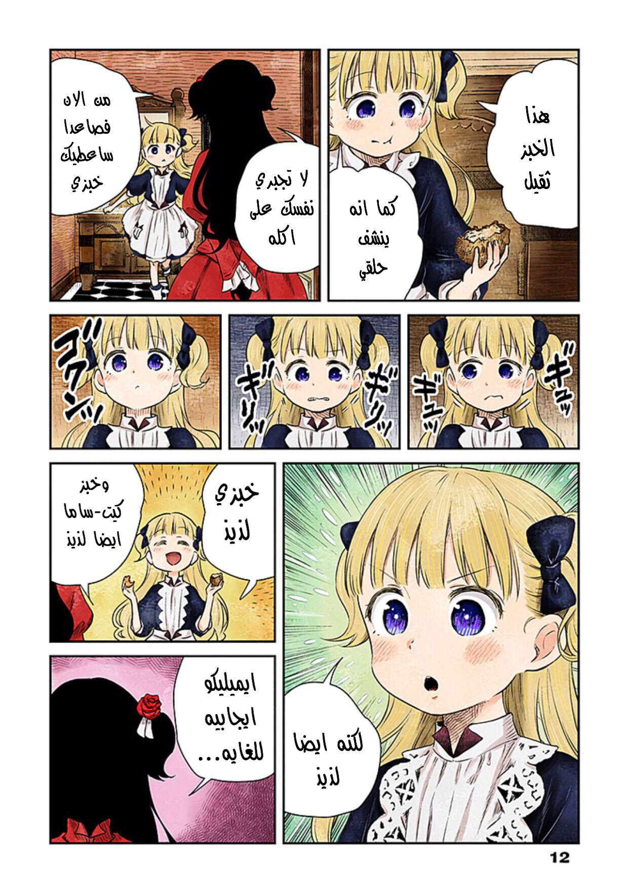 الصفحة 12
