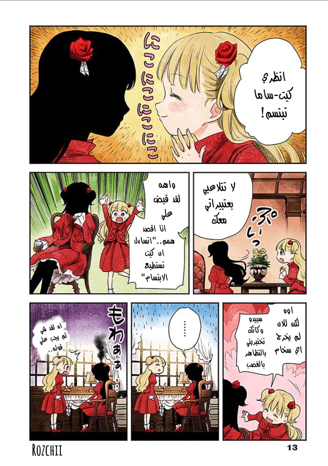 الصفحة 13